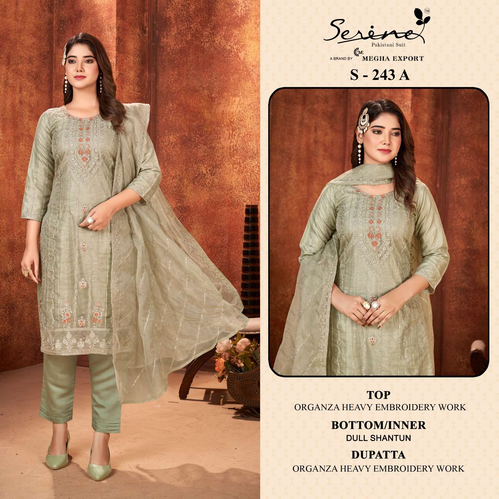 s 243 by serine organza Pakistani suits 